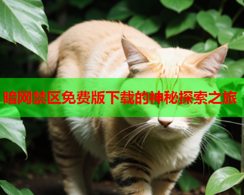 暗网禁区免费版下载的神秘探索之旅 暗网禁区免费版下载的神秘探索之旅