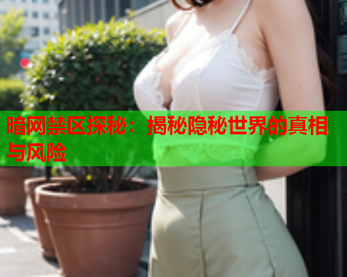 暗网禁区探秘:揭秘隐秘世界的真相与风险 暗网禁区探秘:揭秘隐秘世界的真相与风险
