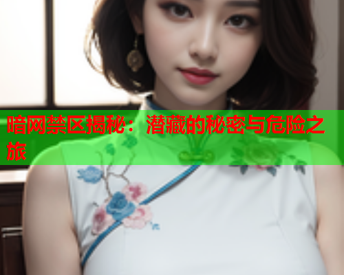 暗网禁区揭秘:潜藏的秘密与危险之旅 暗网禁区揭秘:潜藏的秘密与危险之旅