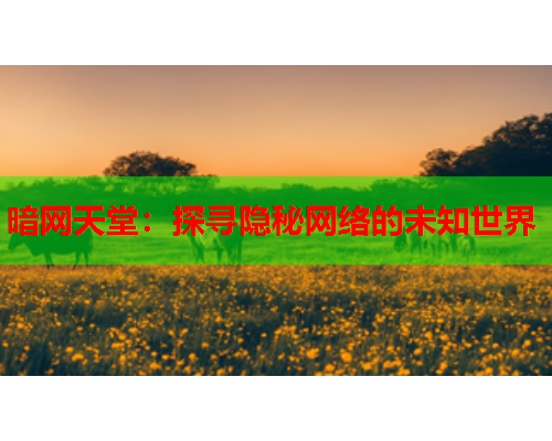暗网天堂:探寻隐秘网络的未知世界 暗网天堂:探寻隐秘网络的未知世界