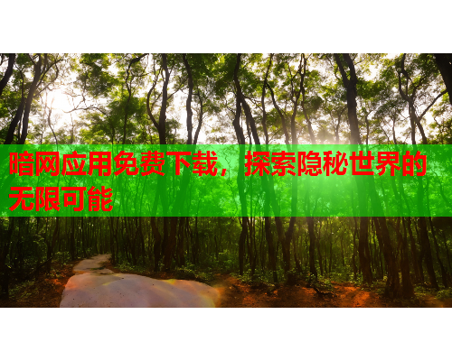 暗网应用免费下载,探索隐秘世界的无限可能 暗网应用免费下载,探索隐秘世界的无限可能