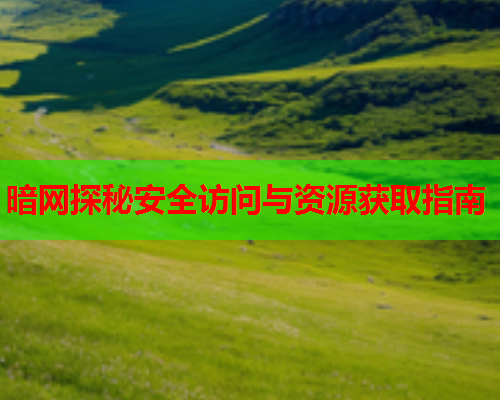 暗网探秘安全访问与资源获取指南 暗网探秘安全访问与资源获取指南