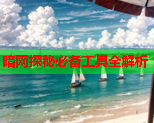 暗网探秘必备工具全解析 暗网探秘必备工具全解析