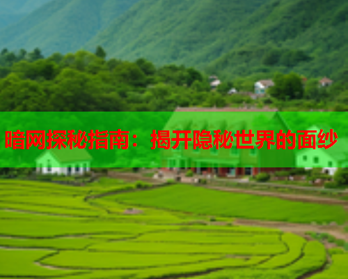 暗网探秘指南:揭开隐秘世界的面纱 暗网探秘指南:揭开隐秘世界的面纱