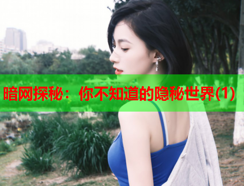 暗网探秘:你不知道的隐秘世界(1) 暗网探秘:你不知道的隐秘世界(1)