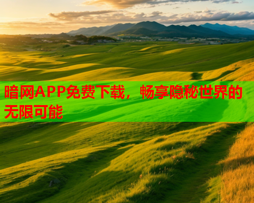 暗网APP免费下载,畅享隐秘世界的无限可能 暗网APP免费下载,畅享隐秘世界的无限可能