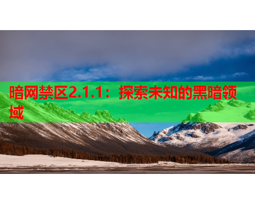 暗网禁区2.1.1:探索未知的黑暗领域 暗网禁区2.1.1:探索未知的黑暗领域