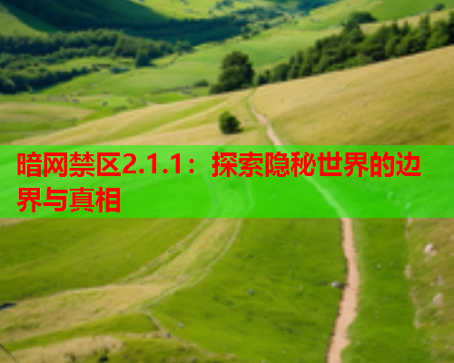 暗网禁区2.1.1:探索隐秘世界的边界与真相 暗网禁区2.1.1:探索隐秘世界的边界与真相