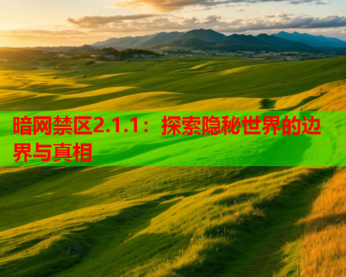 暗网禁区2.1.1:探索隐秘世界的边界与真相 暗网禁区2.1.1:探索隐秘世界的边界与真相