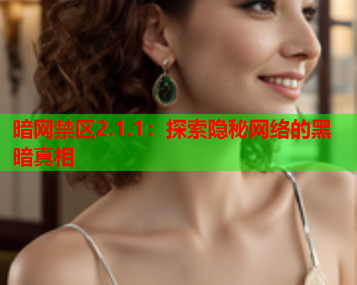 暗网禁区2.1.1:探索隐秘网络的黑暗真相 暗网禁区2.1.1:探索隐秘网络的黑暗真相