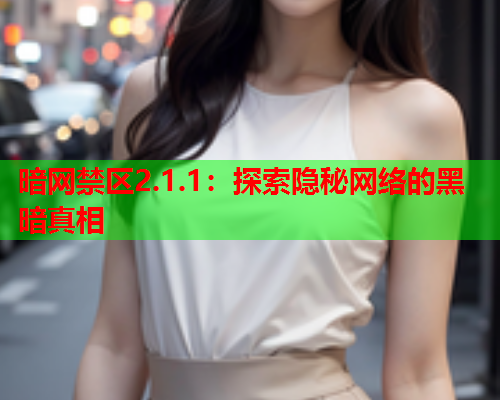 暗网禁区2.1.1:探索隐秘网络的黑暗真相 暗网禁区2.1.1:探索隐秘网络的黑暗真相