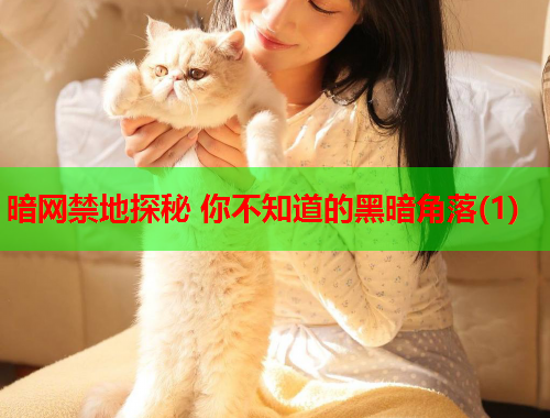 暗网禁地探秘 你不知道的黑暗角落(1) 暗网禁地探秘 你不知道的黑暗角落(1)
