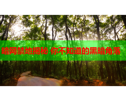 暗网禁地揭秘 你不知道的黑暗角落 暗网禁地揭秘 你不知道的黑暗角落