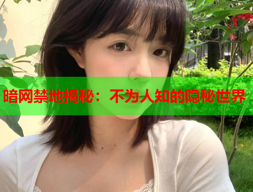 暗网禁地揭秘:不为人知的隐秘世界 暗网禁地揭秘:不为人知的隐秘世界