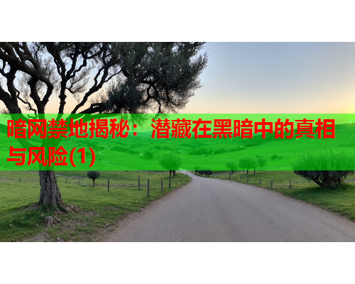 暗网禁地揭秘:潜藏在黑暗中的真相与风险(1) 暗网禁地揭秘:潜藏在黑暗中的真相与风险(1)