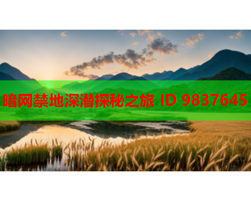 暗网禁地深潜探秘之旅 ID 9837645 暗网禁地深潜探秘之旅 ID 9837645