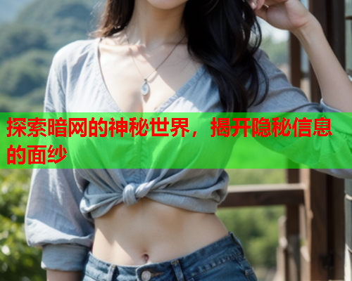 探索暗网的神秘世界,揭开隐秘信息的面纱 探索暗网的神秘世界,揭开隐秘信息的面纱