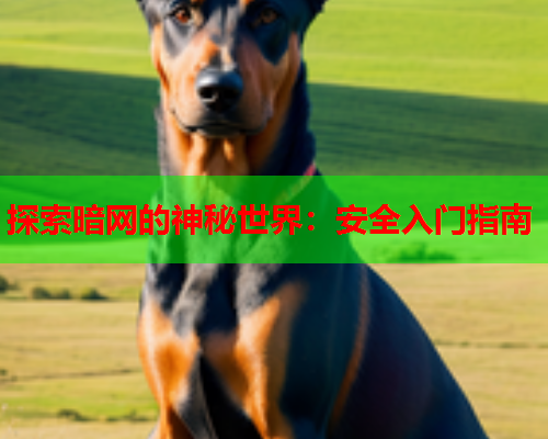 探索暗网的神秘世界:安全入门指南 探索暗网的神秘世界:安全入门指南