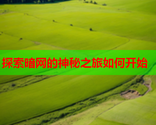 探索暗网的神秘之旅如何开始 探索暗网的神秘之旅如何开始