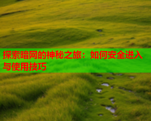 探索暗网的神秘之旅:如何安全进入与使用技巧 探索暗网的神秘之旅:如何安全进入与使用技巧