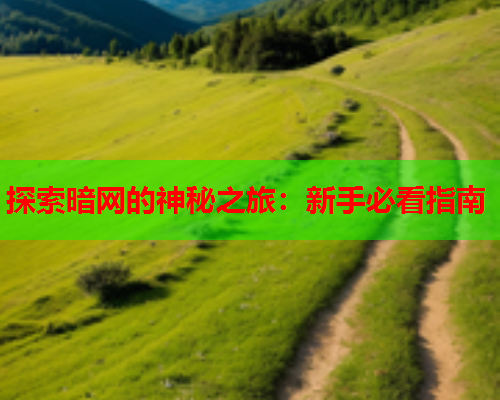 探索暗网的神秘之旅:新手必看指南 探索暗网的神秘之旅:新手必看指南