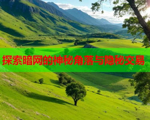 探索暗网的神秘角落与隐秘交易 探索暗网的神秘角落与隐秘交易