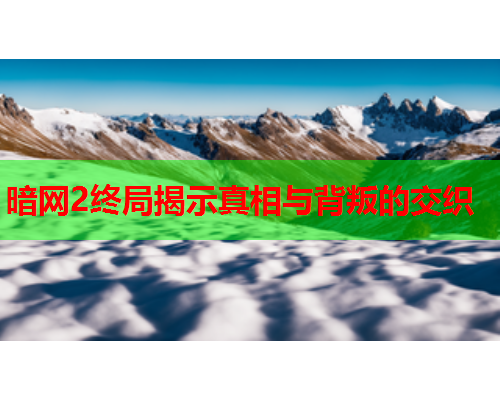 暗网2终局揭示真相与背叛的交织 暗网2终局揭示真相与背叛的交织