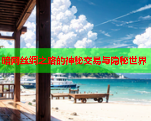 暗网丝绸之路的神秘交易与隐秘世界 暗网丝绸之路的神秘交易与隐秘世界
