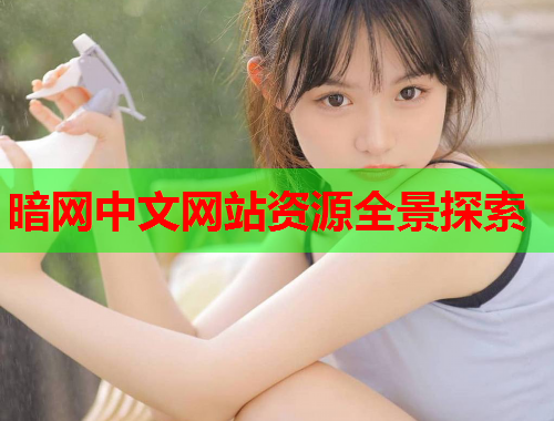 暗网中文网站资源全景探索 暗网中文网站资源全景探索