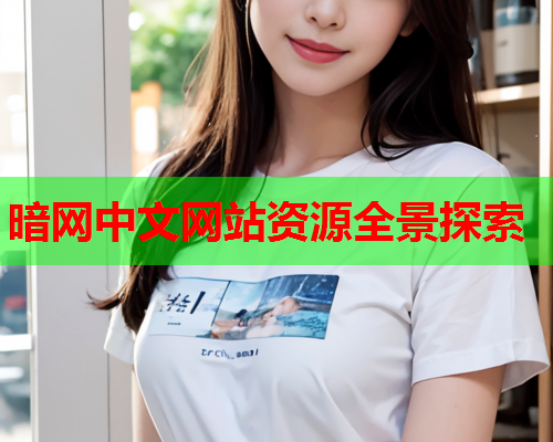 暗网中文网站资源全景探索 暗网中文网站资源全景探索