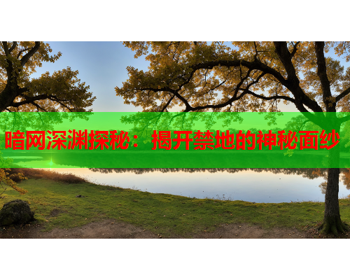 暗网深渊探秘:揭开禁地的神秘面纱 暗网深渊探秘:揭开禁地的神秘面纱