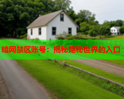 暗网禁区账号:揭秘隐秘世界的入口 暗网禁区账号:揭秘隐秘世界的入口