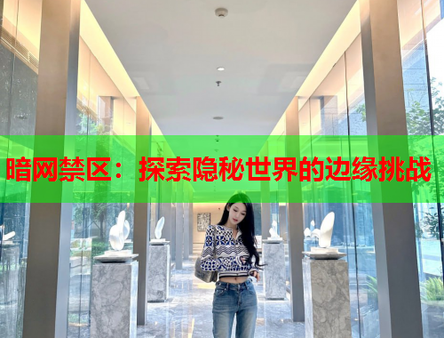 暗网禁区:探索隐秘世界的边缘挑战 暗网禁区:探索隐秘世界的边缘挑战