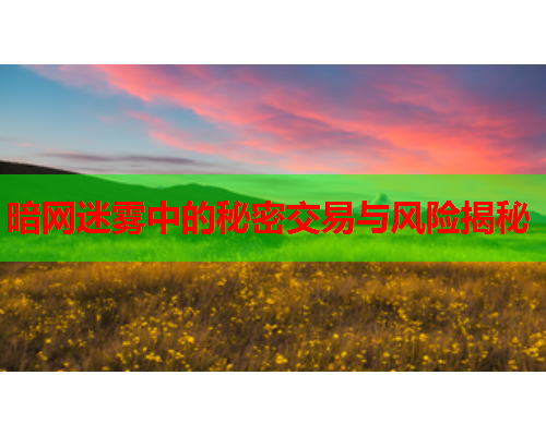 暗网迷雾中的秘密交易与风险揭秘 暗网迷雾中的秘密交易与风险揭秘