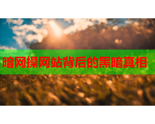 暗网操网站背后的黑暗真相 暗网操网站背后的黑暗真相
