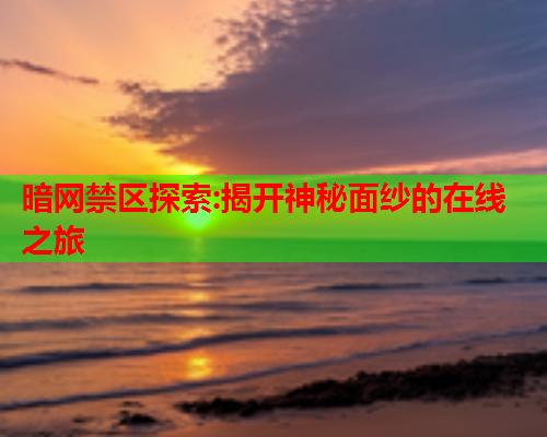 暗网禁区探索:揭开神秘面纱的在线之旅 暗网禁区探索:揭开神秘面纱的在线之旅
