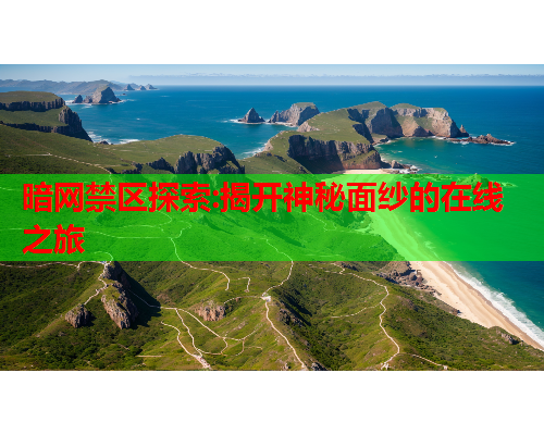 暗网禁区探索:揭开神秘面纱的在线之旅 暗网禁区探索:揭开神秘面纱的在线之旅