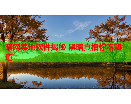 暗网禁地软件揭秘 黑暗真相你不知道 暗网禁地软件揭秘 黑暗真相你不知道