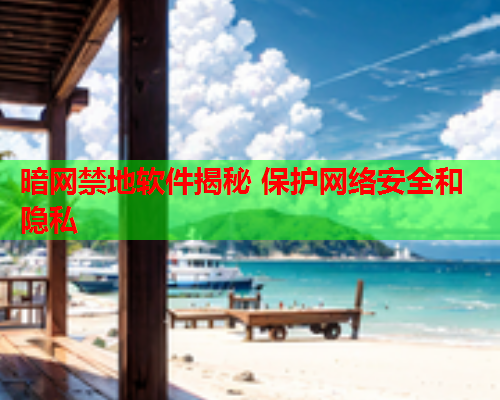 暗网禁地软件揭秘 保护网络安全和隐私 暗网禁地软件揭秘 保护网络安全和隐私