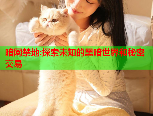 暗网禁地:探索未知的黑暗世界和秘密交易 暗网禁地:探索未知的黑暗世界和秘密交易