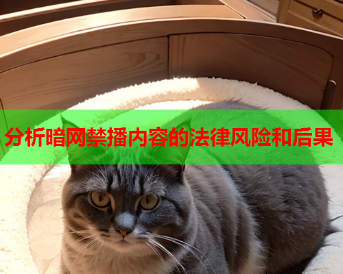 分析暗网禁播内容的法律风险和后果 分析暗网禁播内容的法律风险和后果
