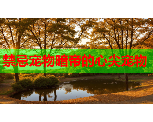 禁忌宠物暗帝的心尖宠物 禁忌宠物暗帝的心尖宠物