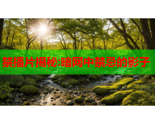 禁播片揭秘:暗网中禁忌的影子 禁播片揭秘:暗网中禁忌的影子