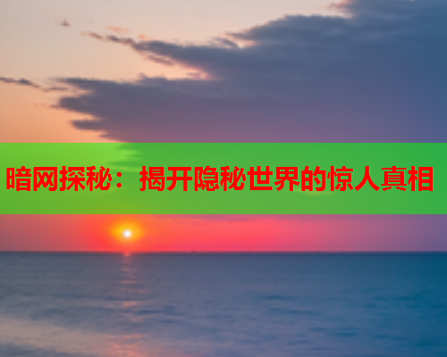 暗网探秘:揭开隐秘世界的惊人真相 暗网探秘:揭开隐秘世界的惊人真相