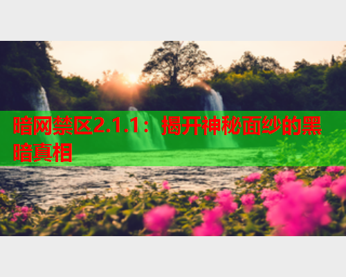 暗网禁区2.1.1:揭开神秘面纱的黑暗真相 暗网禁区2.1.1:揭开神秘面纱的黑暗真相