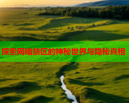 探索网暗禁区的神秘世界与隐秘真相 探索网暗禁区的神秘世界与隐秘真相