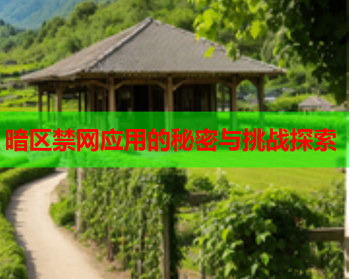暗区禁网应用的秘密与挑战探索 暗区禁网应用的秘密与挑战探索