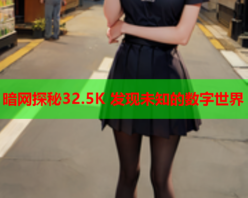 暗网探秘32.5K 发现未知的数字世界 暗网探秘32.5K 发现未知的数字世界