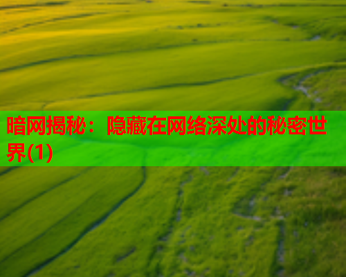 暗网揭秘:隐藏在网络深处的秘密世界(1) 暗网揭秘:隐藏在网络深处的秘密世界(1)