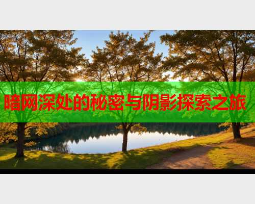 暗网深处的秘密与阴影探索之旅 暗网深处的秘密与阴影探索之旅